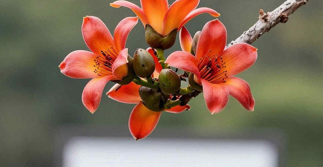 স্টপওয়াচ সাক্ষী, খাতা ফাঁকা — বাংলাদেশের স্প্রিন্ট অডিটে যে রেকর্ড কখনো লেখা হয়নি